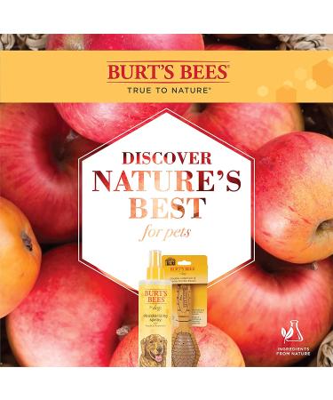 Burt's Bees Dog Deodorizing Spray - Apple & Rosemary 10 fl oz | Natural Pet Freshener - Buy Online on GoSupps.com