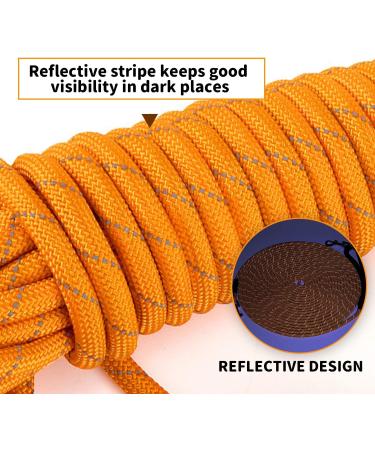 Dog Training Lead Long 15m / 50FT Dog Line Extra Long Heave Duty Reflective Dog Leash for Small Medium Large Dogs Tracking Recall Training Outdoor L: 15m / 50ft Orange - Buy Online on GoSupps.com