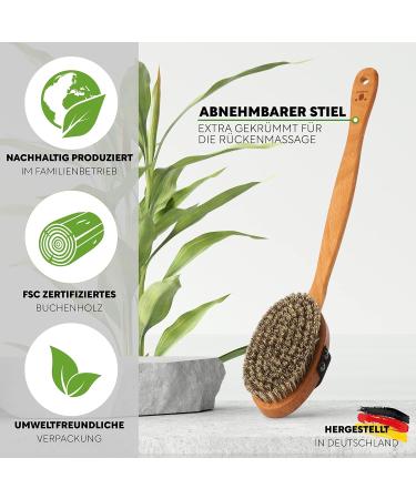 Quoala Sustainable Body Brush - Eco-Friendly Wood & Natural Pig Bristles for Wet & Dry Use | 100% German Made Back Brush - Buy Online on GoSupps.com