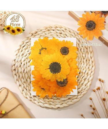 48 Pcs Mini Real Dried Sunflowers for Crafts - Yellow Sunflower Petals for Jewelry, Soap Making, DIY Art - Pressed Flowers for Resin and Scrapbooking - Buy Online on GoSupps.com