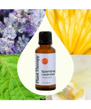 Plant Therapy Sparkling Lavender Laundry Essential Oil Blend 30 mL (1 oz) Pure Undiluted Wash Fragrance and Scent Enhancer - Buy Online on GoSupps.com