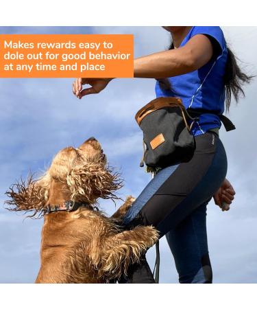 Buy Pecute Dog Training Treats & Portable Feed Bag Lightweight & Functional Pocket for Walking & Training - Stylish Black & Orange - Buy Online on GoSupps.com
