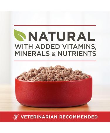 Purina ONE Classic Ground True Instinct Wet Dog Food Beef & Bison - 368 g Can (12 Pack) PET_FOOD - Buy Online on GoSupps.com