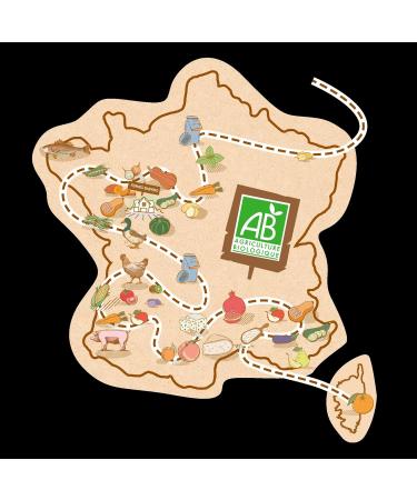 Babybio Vegetable Brewed - Gourds Coconut Milk Apple Pear 4x85 g - 6+ Months - ORGANIC - Buy Online on GoSupps.com