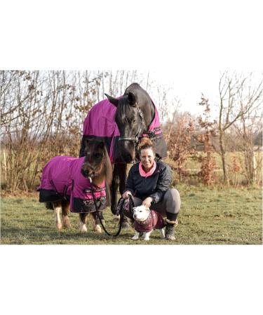 Buy RL24 Weiddecke Winterdecke 600D BasicLine - Nylon Fill 100g/200g/300g Pink/Black 115cm | International Shipping Available - Buy Online on GoSupps.com