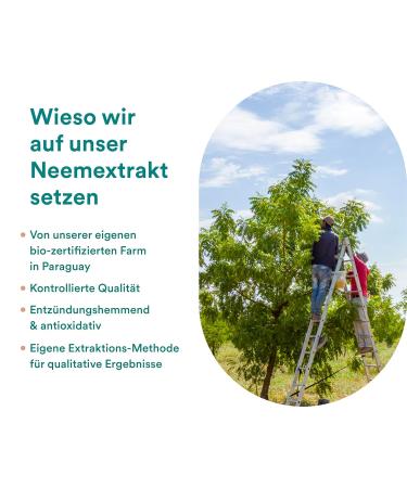 Nat r Intense Scalp Oil 100ml | Nourishing Care for Dry Scalp | Natural Ingredients | Neem Extract | No Perfume Silicones or Dyes - Buy Online on GoSupps.com