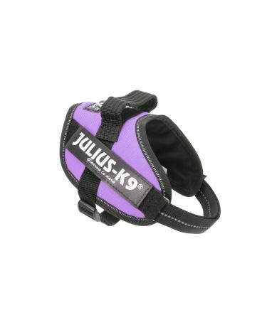 IDC Powerharness Size: S/Mini Violet Violet S/Mini