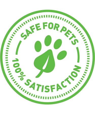 SmartyKat Skitter Critters Catnip Cat Toys Value Pack - 10 Count (Model 9085) - Buy Online on GoSupps.com