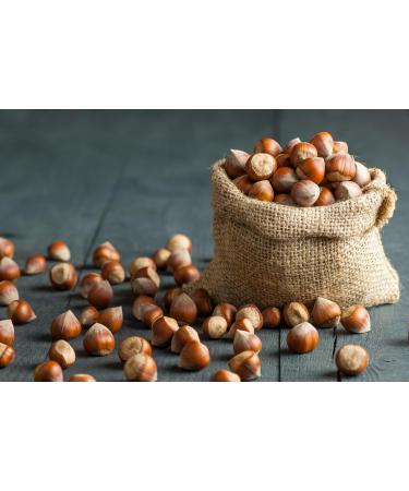 Buy Mundo Feliz Raw Hazelnuts - Organic Farming 2 x 500g | International Shipping Available - Buy Online on GoSupps.com