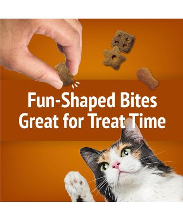 Friskies Party Mix Cat Treats Chicken Lovers Crunch with Real Chicken - 170 g Pouch (1 Pack) Chicken Lovers Crunch 170 g (Pack of 1) - Buy Online on GoSupps.com