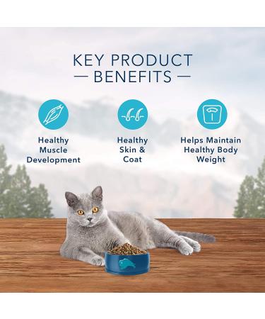 Blue Buffalo Wilderness High Protein Grain Free Natural Adult Indoor Dry Cat Food - 5 lb (Pack of 1) - Buy Online on GoSupps.com