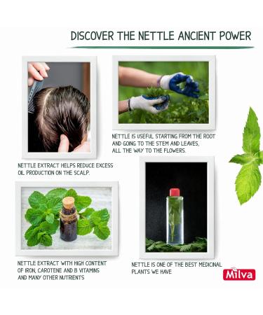 Nettle Shampoo for Healthy Hair - Regulates Sebum Reduces Dandruff & Soothes Scalp Irritation - 200ml | International Shipping Available - Buy Online on GoSupps.com