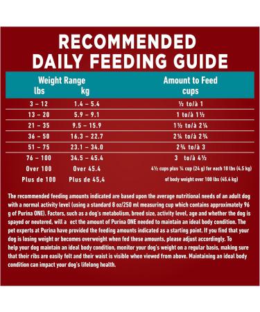 Purina ONE +Plus Dry Senior Dog Food Healthy Aging 7+ with Chicken - 6 kg Bag 6 kg (Pack of 1) - Buy Online on GoSupps.com