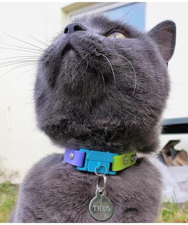 Kittyrama Cats & Kittens Collars | Vogue Featured Vet Approved Hypoallergenic & Comfortable - Shop Now! - Buy Online on GoSupps.com