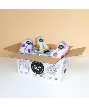 Roy Pure Prana Kombucha 6-Pack - Handmade Vegan & Gluten-Free 330ml Bio Kombucha from Berlin - Buy Online on GoSupps.com