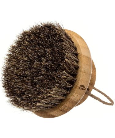Hydrea London Round Body Brush for Dry Brushing - Exfoliate, Remove Dead Skin, Reduce Cellulite - Natural Bristles for Lymphatic Drainage - Buy Online on GoSupps.com