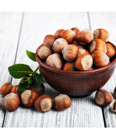 Yupik Hazelnuts In Shell 1 kg Gluten-Free Kosher Vegan Filberts Natural Raw Nuts Whole Nuts Unsalted Unroasted Oil-Free Nutritious Snack Once Shelled Hazelnuts 1 kg (Pack of 1) - Buy Online on GoSupps.com
