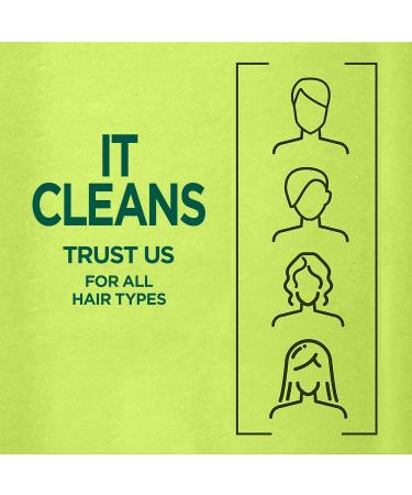 Garnier Fructis Pure Clean Zero Silicone Fortifying Shampoo for Normal to Oily Hair with Citrus Extract 650mL 650 ml (Pack of 1) Shampoo - Buy Online on GoSupps.com