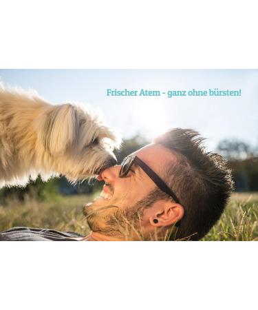 Sniffing Friends Dental Care Water for Dogs & Cats - Fresh Breath Healthy Teeth 500ml - Buy Online on GoSupps.com