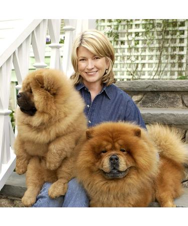 Martha Stewart 2-in-1 Puppy Shampoo & Conditioner - Sulfate-Free, Softens & Shines Coat | 16 oz Dog & Puppy Shampoo - Buy Online on GoSupps.com
