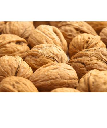 Buy 2kg Walnuts in Bowl - 100% Natural Vegan & Gluten-Free | Perfect for Students - No Additives | Premium Quality Chile 30-34mm - Buy Online on GoSupps.com