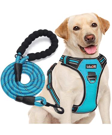 tobeDRI No Pull Dog Harness Adjustable Reflective Oxford Easy Control Medium Large Dog Harness with A Free Heavy Duty 5ft Dog Leash Large Blue Harness+Leash