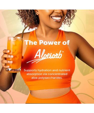 Eco Drink Nutrient Support Packets Fruit Punch Naturally Sweetened Multivitamin Electrolyte Mix with Aloe 24 Stick Packs/Box 0.25 Oz Ea by Lily of The Desert Fruit Punch 24 Count (6 Ounce) - Buy Online on GoSupps.com