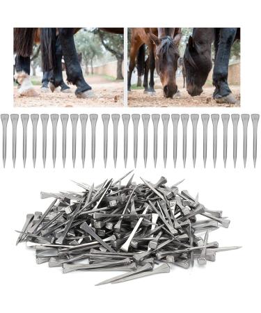 Steel Horseshoe Nails 250Pcs Horseshoe Nails Nail Palm for Horse Horseshoe Nail Horseshoe Nail Horse Horseshoe Nail for Horse Race Horse - Buy Online on GoSupps.com