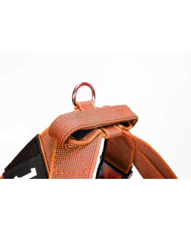 Shop Julius-K9 2XL/3 Orange-Grey Belt Harness | Durable & Stylish Dog Gear - International Shipping Available - Buy Online on GoSupps.com