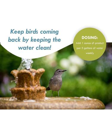 Sanco 88002 Bird Bath & Fountain Maintenance 8 Oz 8 oz. - Buy Online on GoSupps.com