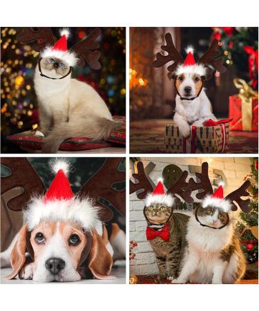 Shop Lynbly Christmas Reindeer Headband for Pets | Adjustable Cat & Dog Headgear with Santa Hat - Buy Online on GoSupps.com