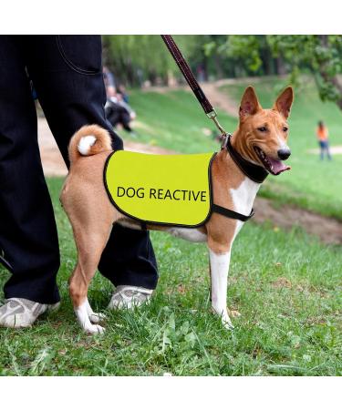 Buy Reactive Dog Jacket Vest | Dog Reactive-Medium | Warning Slogan for Safe Walks - Buy Online on GoSupps.com