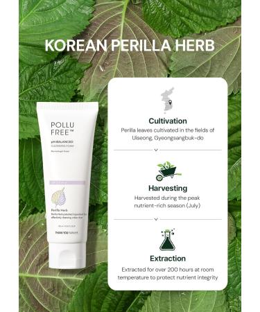 THANKYOU FARMER Pollufree pH-Balanced Cleansing Foam - Korean Face Wash for Sensitive Skin with Hyaluronic Acid - Hydrating Facial Cleanser 4.22 fl.oz - International Shipping Available - Buy Online on GoSupps.com