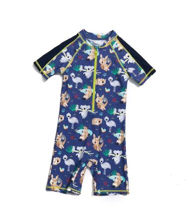 BONVERANO Baby Boys Swimsuit Toddler Bathing Suit Short-Sleeve Zipper One Piece Swimwear with UPF 50+ Sun Protection 6-9 Months Koala