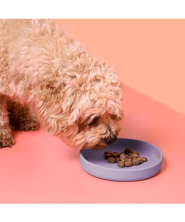 Buy Silicone NE & NO Food Bowl for Small Dogs & Puppies | Wide Travel Bowl for Dry & Wet Food | Purple Camping Water Bowl - Buy Online on GoSupps.com