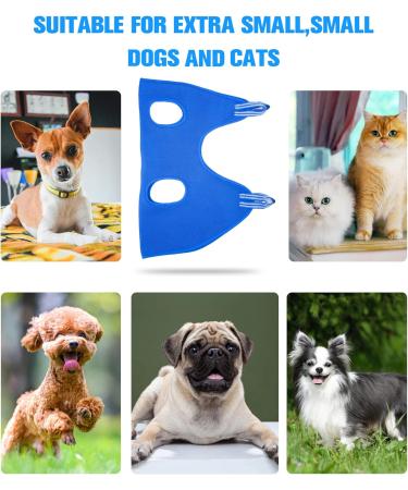 KKIIMATT 12-in-1 Pet Care Dishes for Cats & Extra Small Dogs | Breathable & Convenient Design for Grooming & Clipping - Buy Today! - Buy Online on GoSupps.com