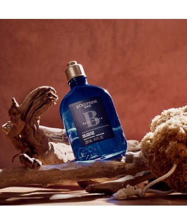 LOccitane Shower Gels Bois Flott | Refreshing Luxury Shower Gel | Shop Internationally - Buy Online on GoSupps.com