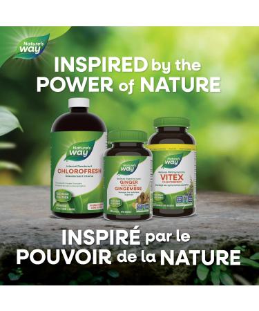 Nature's Way Goldenseal Root Relieve digestive upset - Aid Digestion Mild Laxative - Non-GMO - 100 Vegetarian Capsules Value Size Natural 100 count (Pack of 1) - Buy Online on GoSupps.com