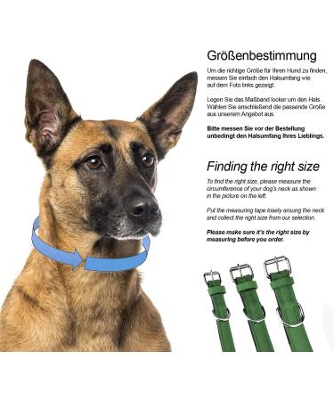 Sniffing Fans Leather Dog Collar - Padded & Robust for All Sizes (M 28-36cm Green) | Ideal for Large Medium & Small Dogs - Buy Online on GoSupps.com