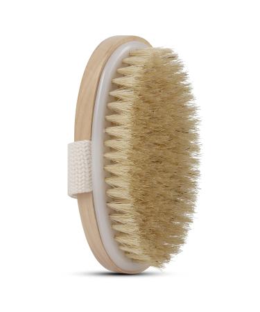 Dry Skin Body Brush - Improves Skin's Health and Beauty - Natural Bristle - Remove Dead Skin and Toxins, Cellulite Treatment, Improves Lymphatic Functions, Exfoliates, Stimulates Blood Circulation Standard Strap