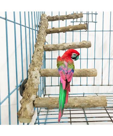 Allazone 3-Piece Nature Bird Accessories Set | Wooden Ladder Pole & Toys for Parrots & Canaries - International Shipping Available - Buy Online on GoSupps.com