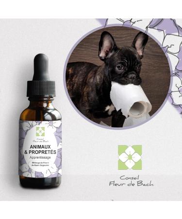Bach Flowers Pets and Cleanliness Do you want to improve the cleanliness of your dog or cat This mixture is a natural solution to make your pet clean. Fl30ML Pack of 2 - Buy Online on GoSupps.com