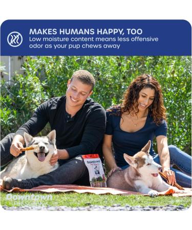 Downtown Pet Supply Bully Sticks for Dogs (6" 24-Pack Jumbo) Non-GMO Grain Free Rawhide Free Dog Chews Long Lasting Pizzle Sticks - Low Odor Bully Sticks for Large Dogs - Buy Online on GoSupps.com