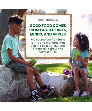 GoGo squeeZ Apple & Gimme Five! - 12 Pouches, 3.2 oz - Healthy Snack for Kids - Buy Online on GoSupps.com