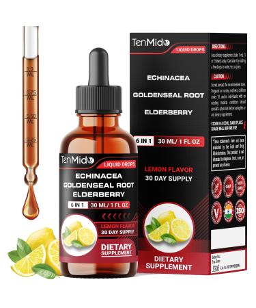 Tenmido Echinacea Goldenseal Tincture - 6in1 with Vitamin D3 Vitamin C Zinc and Elderberry - Immune System Support - Vegan Non-GMO - 30ml 1 Fl Oz