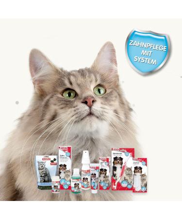 BEAPHAR Zahnies for Cats - Dental Care Treats | Fresh Breath & Health Support | 150g - International Shipping Available - Buy Online on GoSupps.com