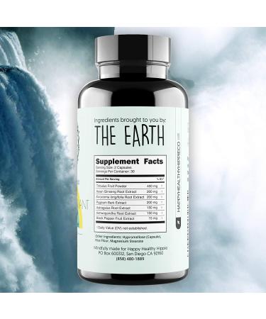 Happy Healthy Hippie Positively Pregnant for Dads - Premium Male Fertility Aid with Tribulus Terrestris, Ginseng, and Ashwagandha Extract - 60 Capsules - Buy Online on GoSupps.com