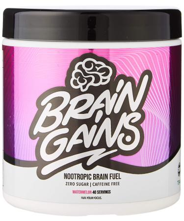 Brain Gains Nootropic Brain Fuel 260 g Watermelon