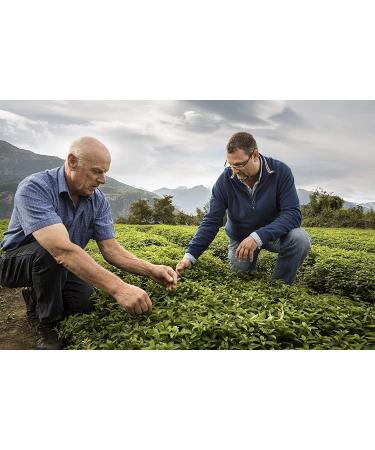 Buy Sugar Free Cough Drops with Green Tea & Echinacea - 19 Drops per Pack (5 Packs) | International Shipping Available - Buy Online on GoSupps.com