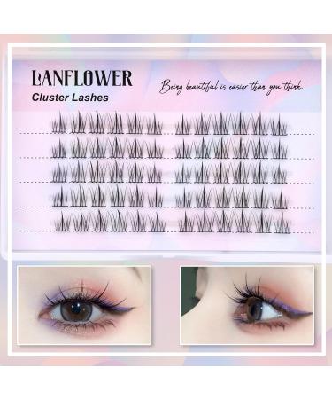 Manga Lashes Cluster Mixed Length | Natural Look Anime Eyelashes Extension | DIY Individual Hybrid Asian Lashes Pack - 10mm-14mm by Lanflower - Buy Online on GoSupps.com